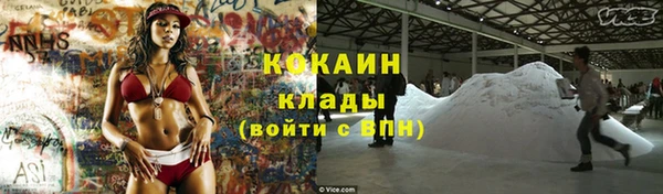 прущие крисы Новодвинск