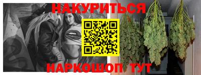 СК Дубна