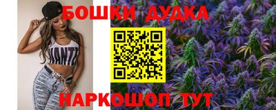 стафф Кингисепп