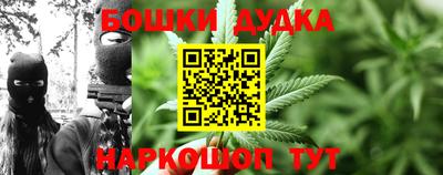 гидра Донецк