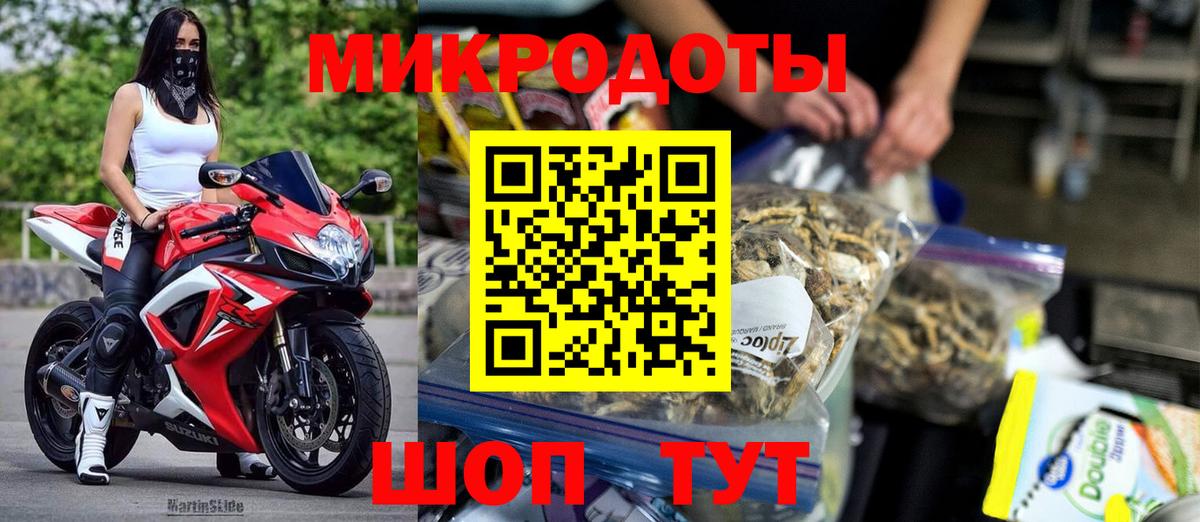 Псилоцибиновые грибы Cubensis Лысьва